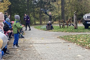 Obrázek č.14