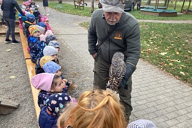 Obrázek č.22