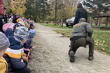 Obrázek č.37