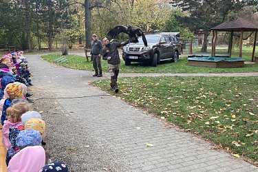 Obrázek č.39