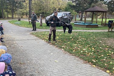 Obrázek č.40