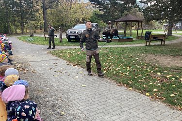 Obrázek č.42