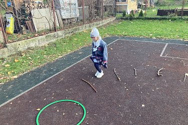 Obrázek č.43
