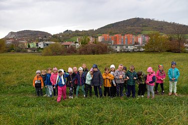 Obrázek č.11