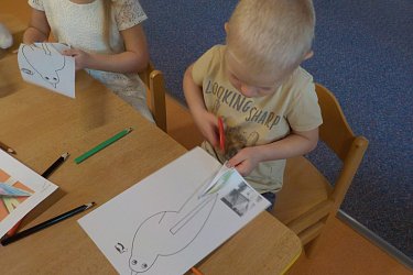 Obrázek č.5