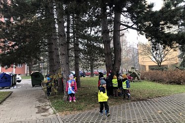 Obrázek č.48