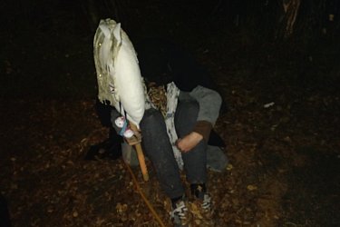 Obrázek č.8