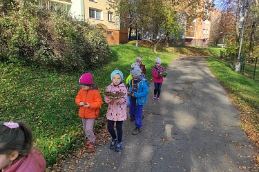 Obrázek č.17