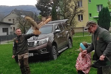 Obrázek č.10
