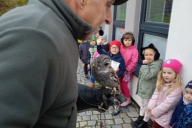 Obrázek č.18