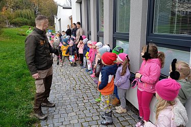 Obrázek č.29