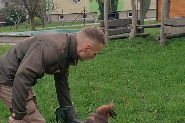 Obrázek č.27
