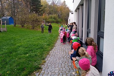 Obrázek č.43