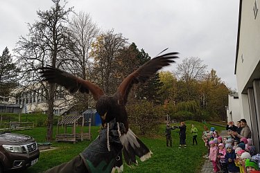 Obrázek č.42