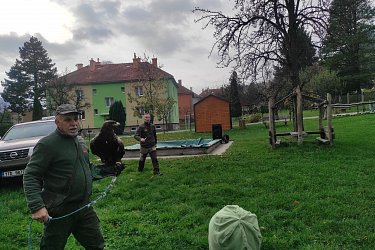 Obrázek č.55