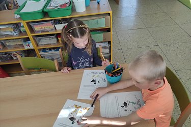 Obrázek č.19