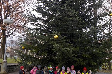Obrázek č.230