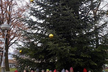Obrázek č.232