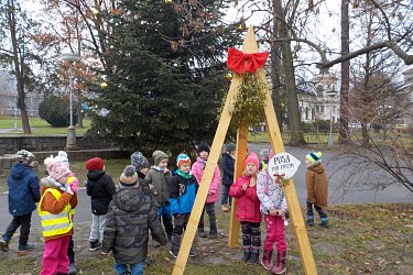Obrázek č.235