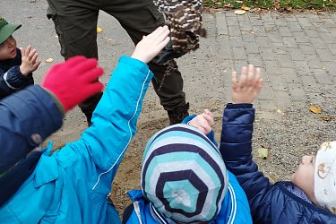 Obrázek č.68