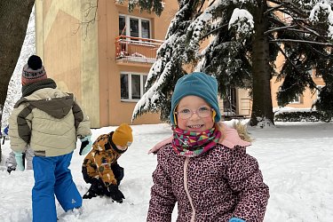 Obrázek č.31