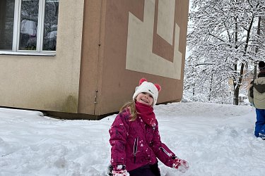 Obrázek č.30