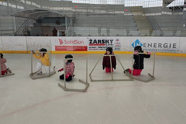 Obrázek č.33