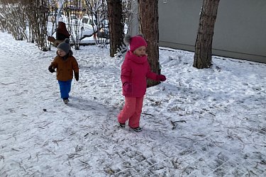 Obrázek č.65