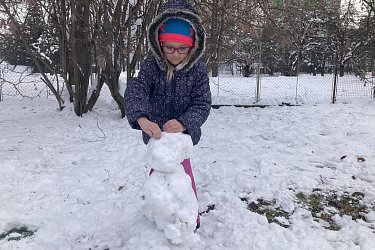 Obrázek č.71