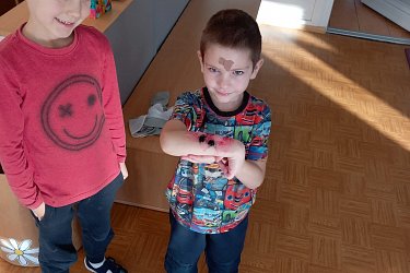 Obrázek č.8