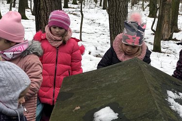 Obrázek č.14