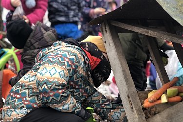 Obrázek č.26