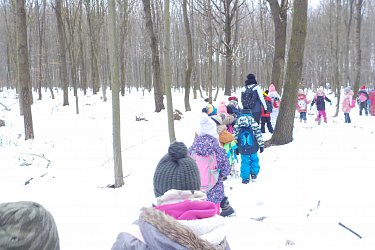 Obrázek č.102