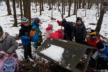 Obrázek č.104