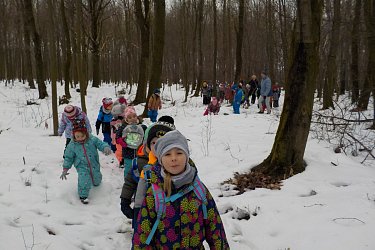 Obrázek č.173