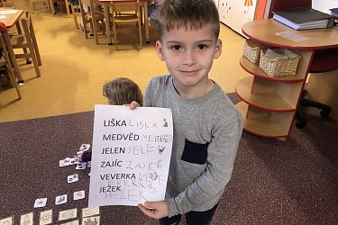 Obrázek č.10