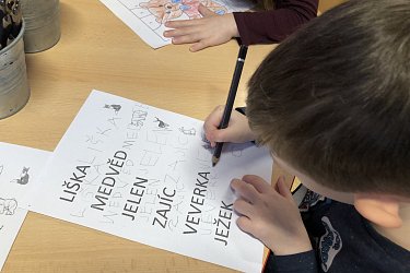 Obrázek č.46