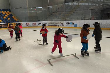 Obrázek č.17