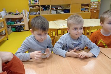 Obrázek č.21