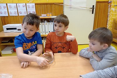 Obrázek č.25
