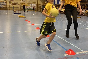 Obrázek č.29