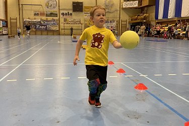 Obrázek č.28