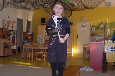 Obrázek č.33