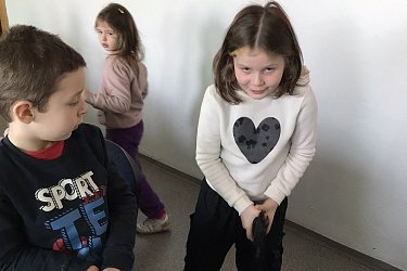 Obrázek č.46