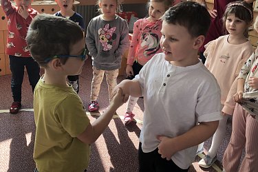 Obrázek č.110