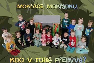Obrázek č.71