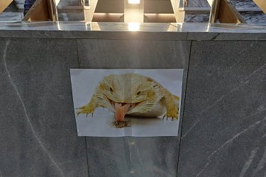Obrázek č.44