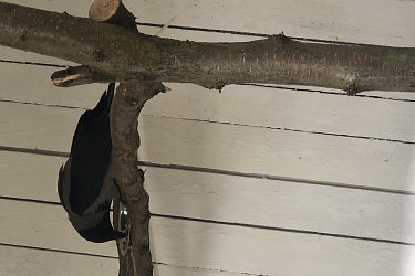 Obrázek č.11