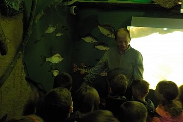 Obrázek č.12