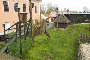 Obrázek č.18